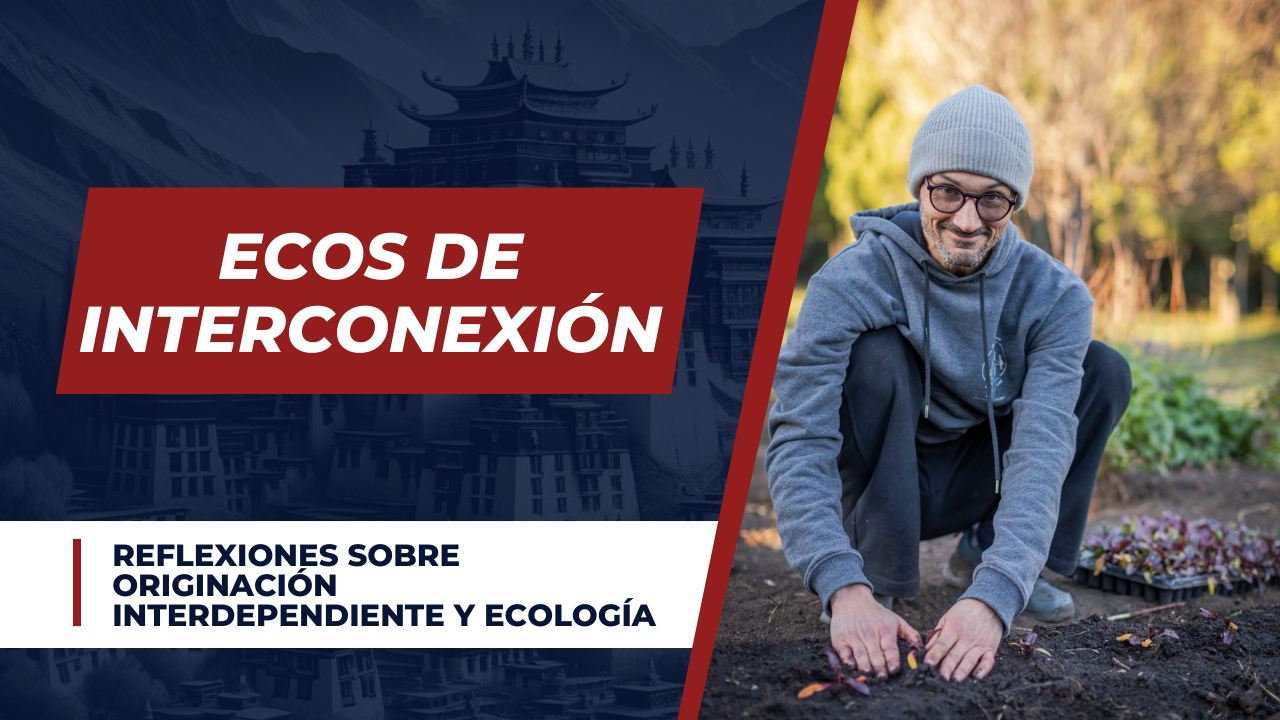 Ecos de Interconexión: Reflexiones sobre la originación interdependiente y ecología