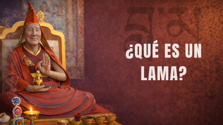 ¿Qué es un Lama?